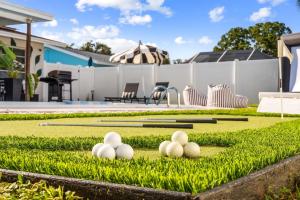 a group of balls sitting on the grass with bats at The Beverley Pool Hot Tub Near Clearwater Beach in Clearwater