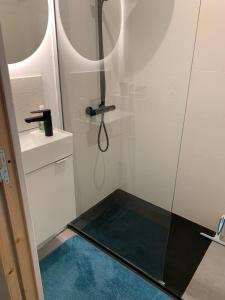 a bathroom with a shower with a glass door at Cabane Souirie cosy & clim au calme avec extérieur in Baillargues
