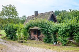 Zahrada ubytování Haus Im Grünen
