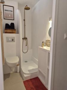 カップ・ダグドにあるAGREABLE STUDIO VUE PORT AU CAP D'AGDEのシャワーとトイレ付きの白いバスルーム +33枚の写真
