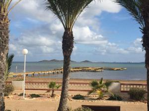 a view of a beach with palm trees and a pier at Estrella de Mar in Los Urrutias