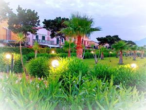 a park with palm trees and houses with lights at Villaggio 101 Pini in Buonfornello +13 photos