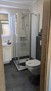a bathroom with a shower and a toilet and a sink at Ankerplatz35 in Carolinensiel