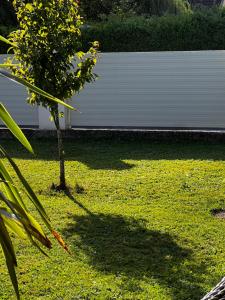 Taman di luar Rosental-Tent only