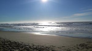a beach with the sun shining on the ocean at Les Jardins de L'Ocean - Climatisé in Biscarrosse-Plage