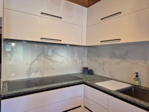 サント・フォア・タロンテーズにあるSplendide chalet 10pers, Sainte Foy Stationの白いキャビネットとシンクのあるキッチン +21枚の写真