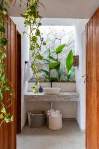 ein Badezimmer mit Waschbecken und einer Pflanze an der Wand in der Unterkunft Casinha da Vila in São Gonçalo do Amarante