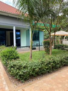 two palm trees and bushes in front of a building at Kira Garden Villas in Jinja
