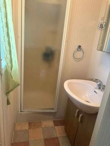 un baño con ducha y lavabo en le 130 locadelphine, en Meschers-sur-Gironde