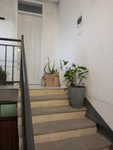 Imagen de la galería de Diyasbora Lemlem studio, 