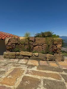 a stone wall with plants on top of it at Finca Guacari (San Gil) in San Gil