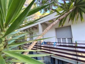 Blick auf die Vorderseite eines Gebäudes mit Palmen in der Unterkunft Etrusca in Marina di Castagneto Carducci + 6 Fotos