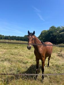 Fotografie z fotogalerie ubytování Ty Kerguen - A l'abri du temps, Route de l'Ocean v destinaci Quimper