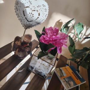 克卢日-纳波卡Cazare Clara Cluj的花瓶和书的桌子