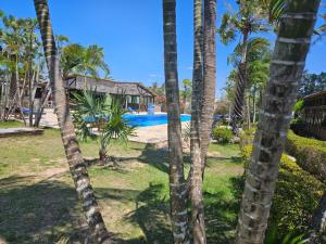 a view of a pool through palm trees at Eco Resort Vento Leste in Jericoacoara