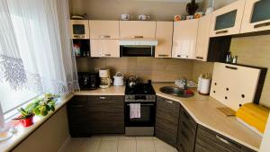 a small kitchen with a stove and a sink at Apartament Studio Michałek Częstochowa in Częstochowa