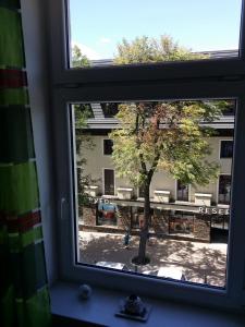 Fotografia z galérie ubytovania Apartament Giewont Krupowki v Zakopanom