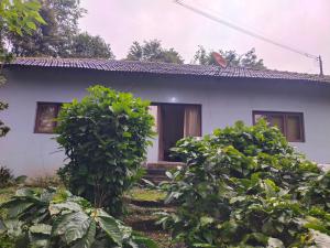 a white house with a door in a yard at Naturecraft Homestay in Vastāra +4 photos