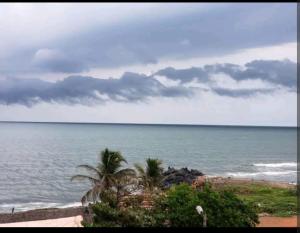 a view of the ocean with palm trees on the beach at Pondy Brezze 2BHK Beach villa in Puducherry