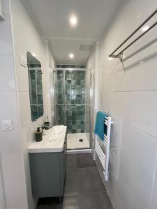 Ένα μπάνιο στο Gîte cosy tout confort - Le palmier +19 φωτογραφίες