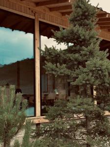 Zahrada ubytování Villa Amper