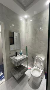 a bathroom with a sink and a toilet at Sumeras Sapphire Retreat in Ajman  +32 photos