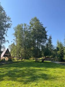 a large field with a barn and trees at Căsuța din poiană in Dorna Cîndrenilor