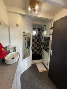 bagno con grande lavandino e doccia di Logement indépendant a Saint-Didier-au-Mont-dʼOr