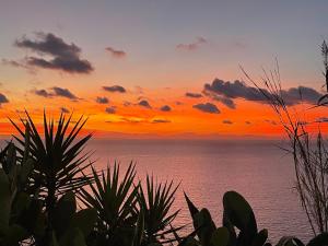 a sunset over the ocean with plants in the foreground at Villetta Grazia in Capoliveri