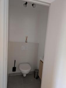 a bathroom with a white toilet in a room at Cottage near Clisson in Gétigné