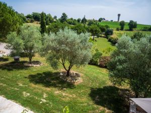 an aerial view of a garden with olive trees at Domaine de Vadel in Veilhes