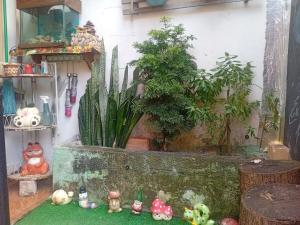 a group of plants andotics in a room at Casa Solar da Lua COP30 in Belém