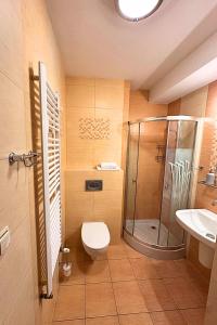 a bathroom with a toilet and a shower and a sink at Pensjonat Szach in Krynica Zdrój