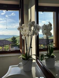 Foto dalla galleria di Agriturismo Rio Sordo a Barbaresco