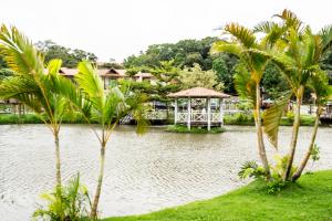 a pond with a gazebo and some palm trees at Pousada do Lago in Guaramiranga