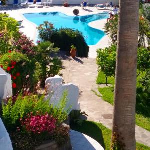 una piscina in un resort con fiori di Hotel Parco Conte a Ischia
