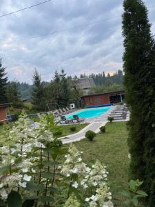 a swimming pool in a yard with white flowers at Sadyba Anastasia in Slavske