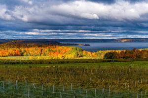 an autumn view of a field and a lake at Steps to Beach-Hot Tub-Fireplace-Northern Original in Traverse City
