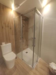 a bathroom with a shower and a toilet at Brisa do Mar in Finisterre +9 photos