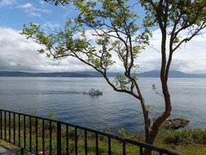 a boat on the water near a tree at Brisa do Mar in Finisterre
