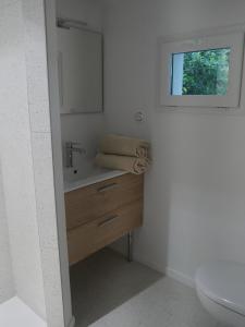a bathroom with a sink and a mirror and a toilet at Les Gîtes du Petit Bois CHEVREFEUILLE in Ruoms