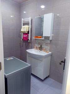 une salle de bain avec un lavabo et un miroir dans l'établissement Holbrook isani, à Tbilissi