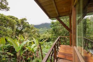 a wooden balcony of a house with a view of the forest at Eden Treehouse in Mindo