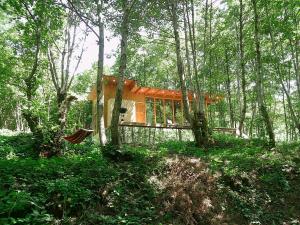 una casa in mezzo a una foresta di Okatse Life, Village Kinchkha a Kinchkha-Perdi Altre 13 foto