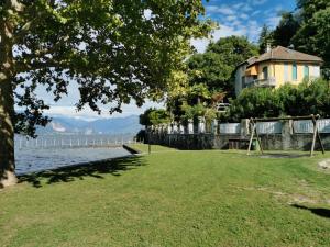 a park next to the water with a building and a tree at Lago Maggiore Green House in Leggiuno