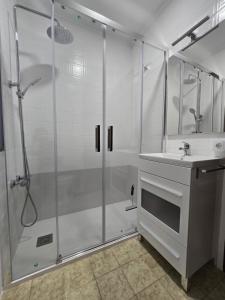 a bathroom with a shower and a sink at Apartamento Lugo centro muralla in Lugo
