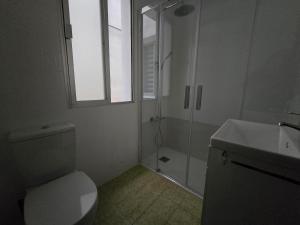 a bathroom with a shower and a toilet and a sink at Apartamento Lugo centro muralla in Lugo +7 photos