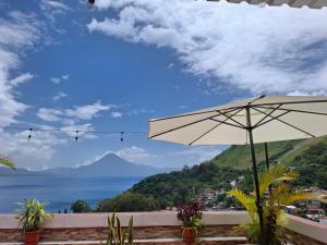 Příroda nedaleko apartmánu + 10 fotografií