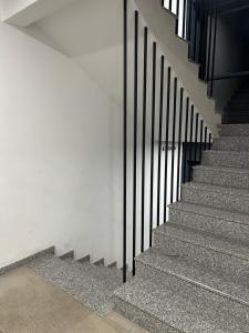 PetrovecにあるMirror Apartmentsの建物内の黒い手すり付きの階段