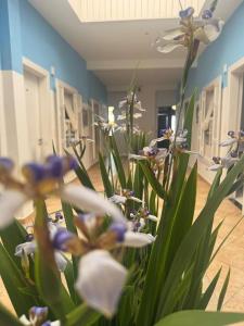 a bunch of white and blue flowers in a room at Pousada Barra do Sahy in Barra do Sahy +28 photos